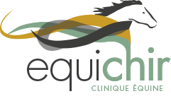 Clinique Equichir